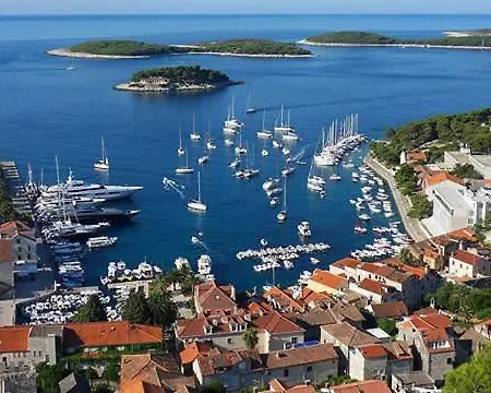 Marina Pavic Daire *